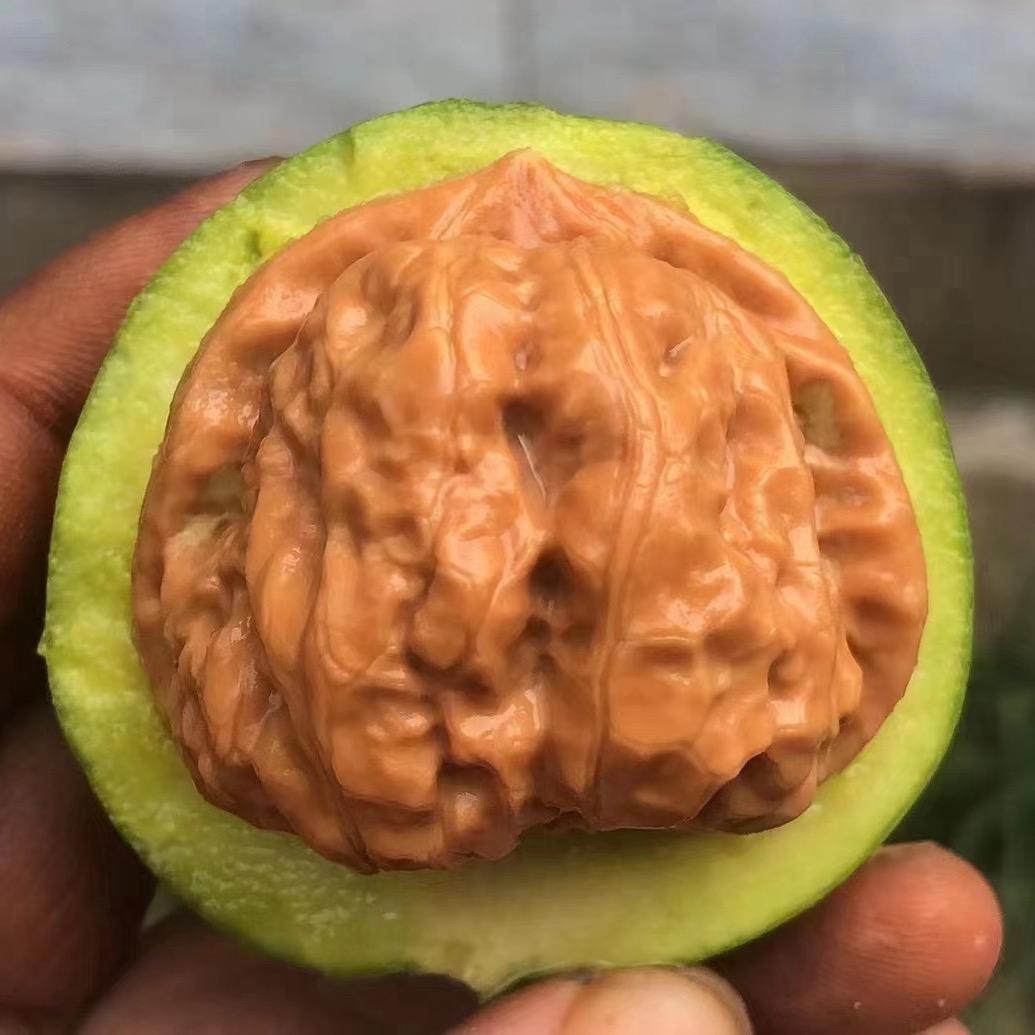 葫芦娃找爷爷