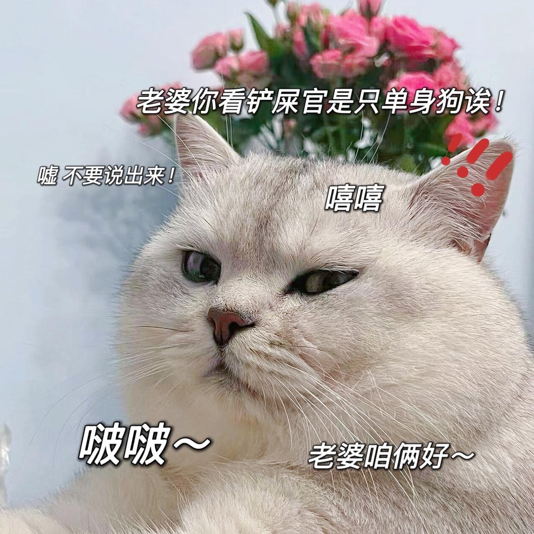开心
