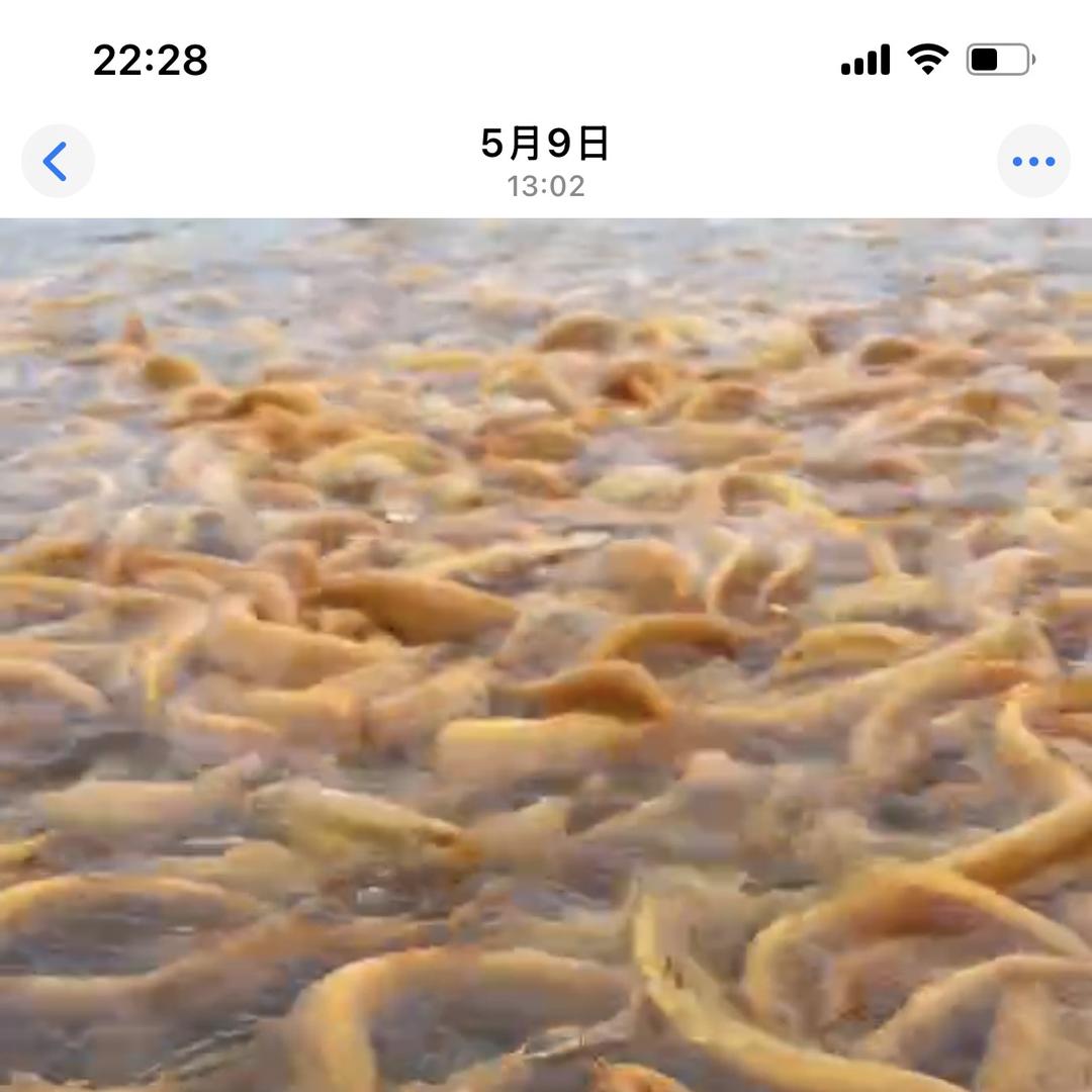 耀辉生态科技有限公司