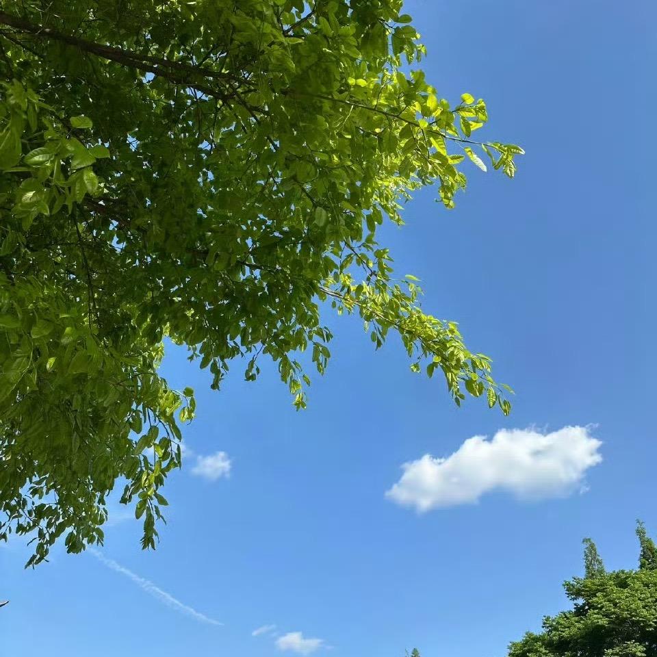 天黑就回家