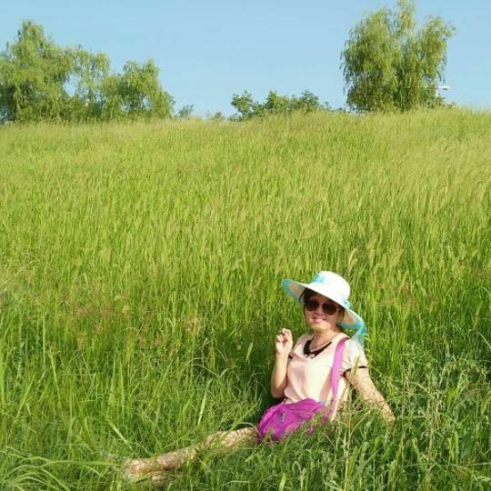 雪莲花好物推荐