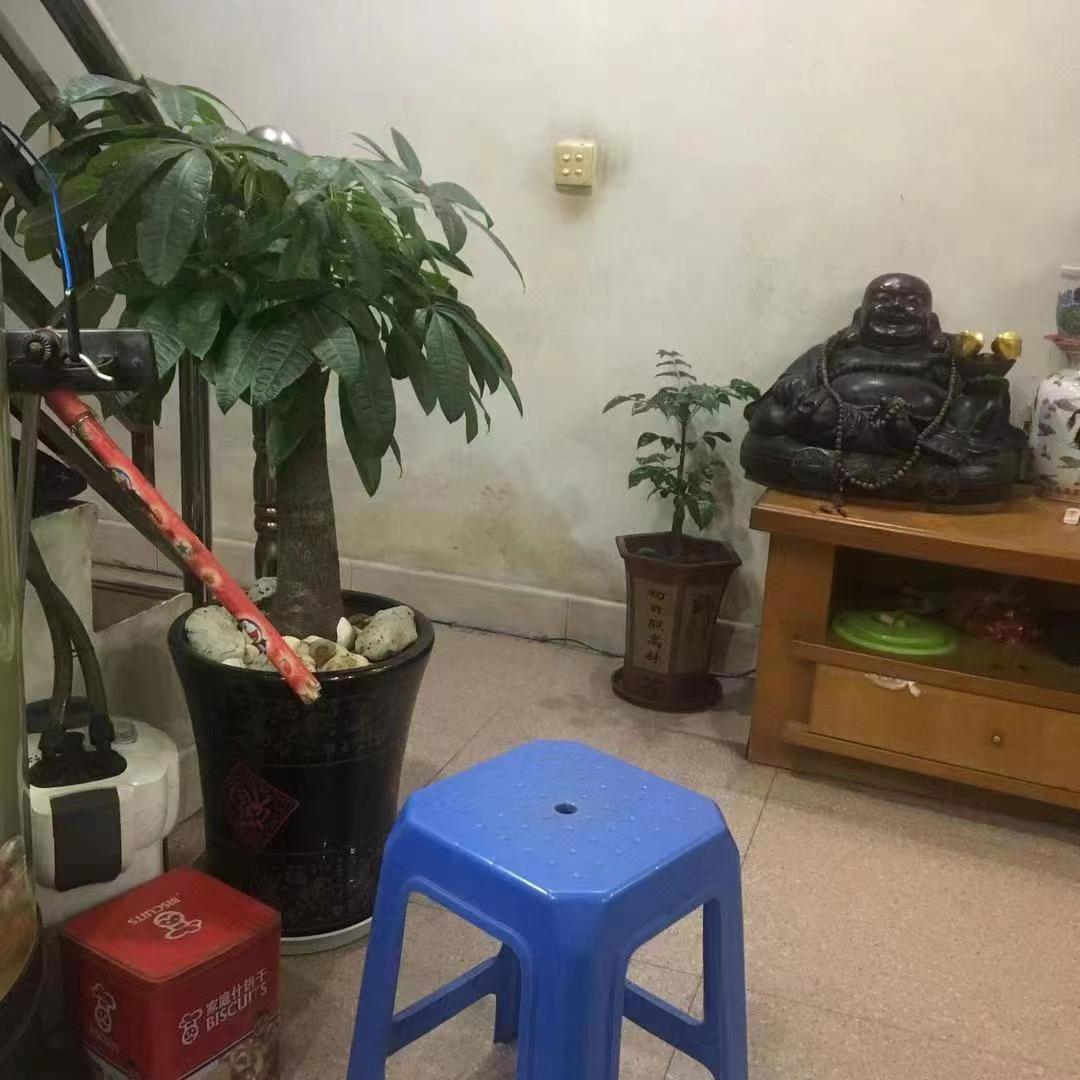 蔡先生谈人生