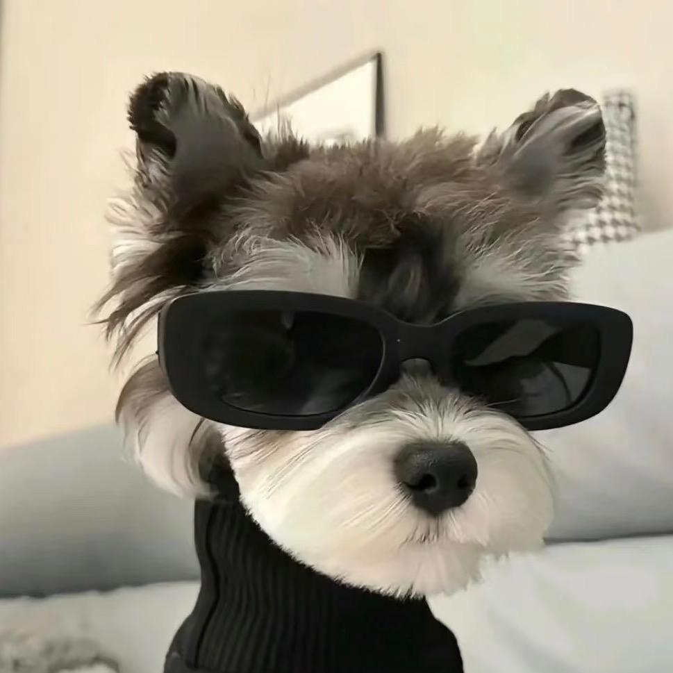 清辞.