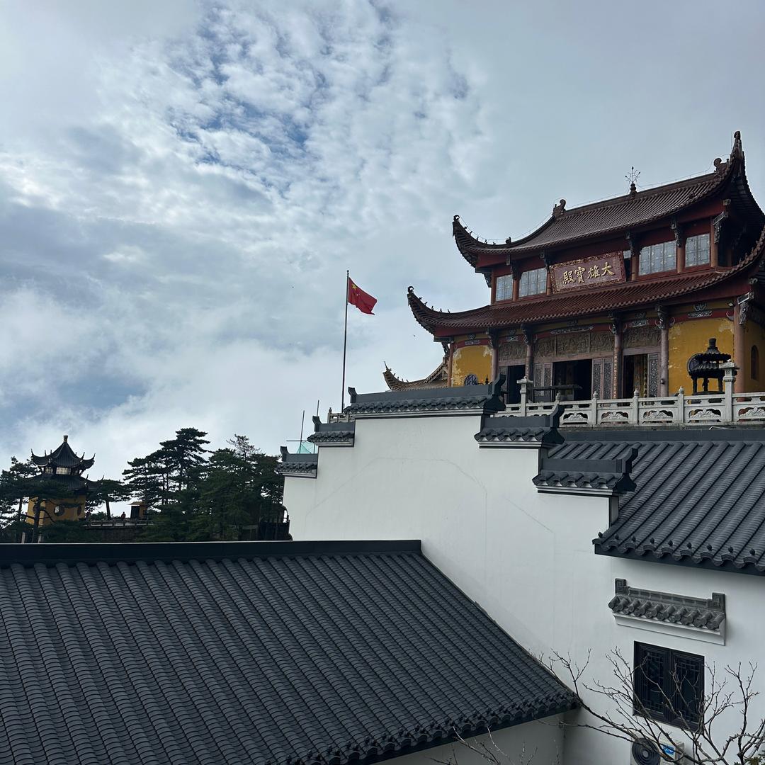 风中摇曳