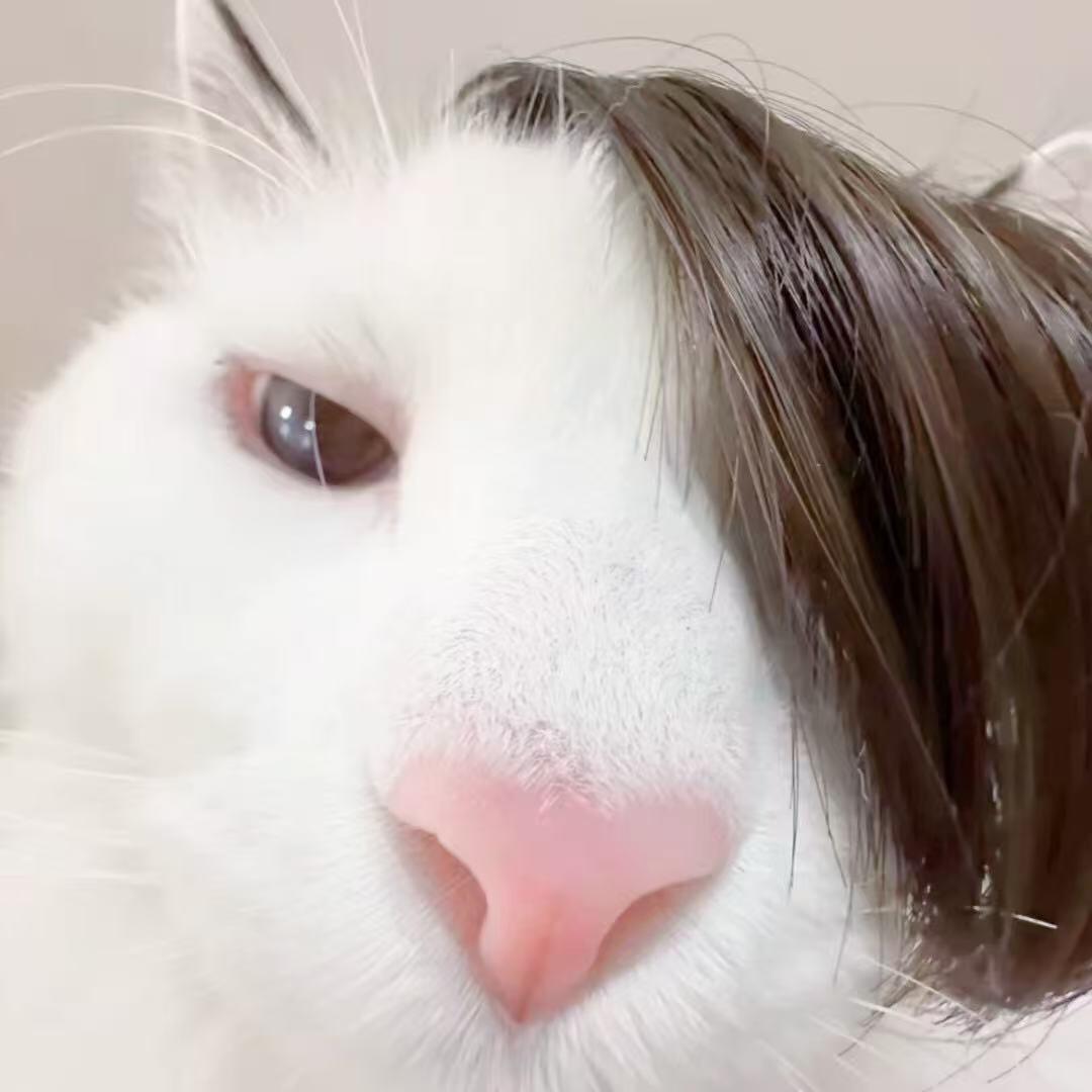 脆脆点心面