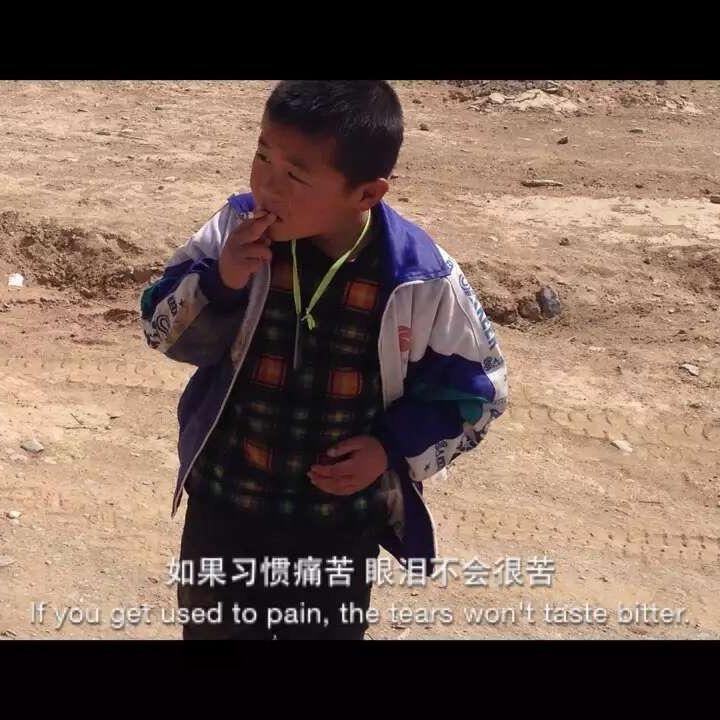 归 。