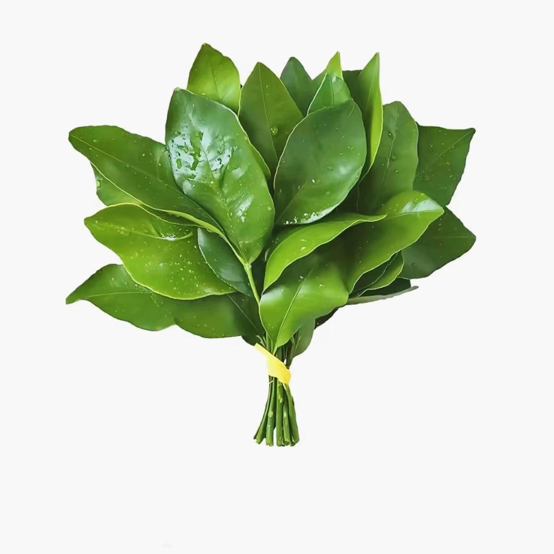 ZHEN琪🥀