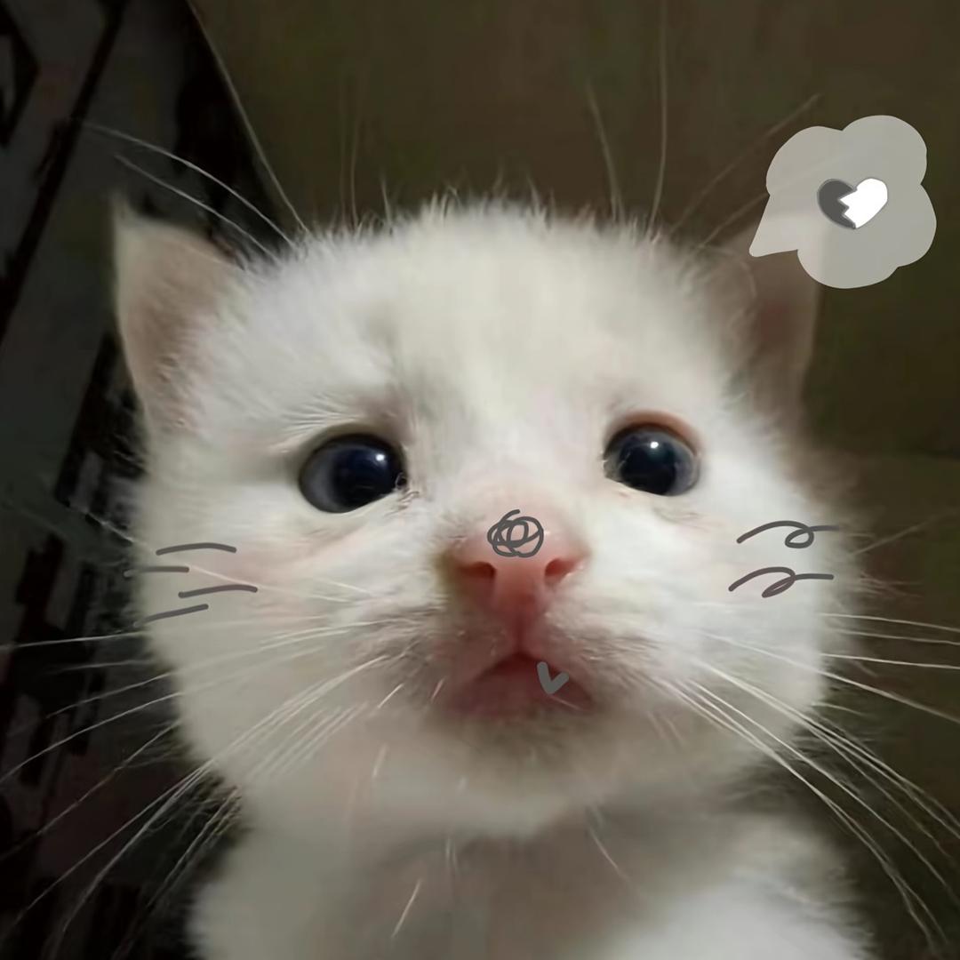 老天爷偏爱笨小孩