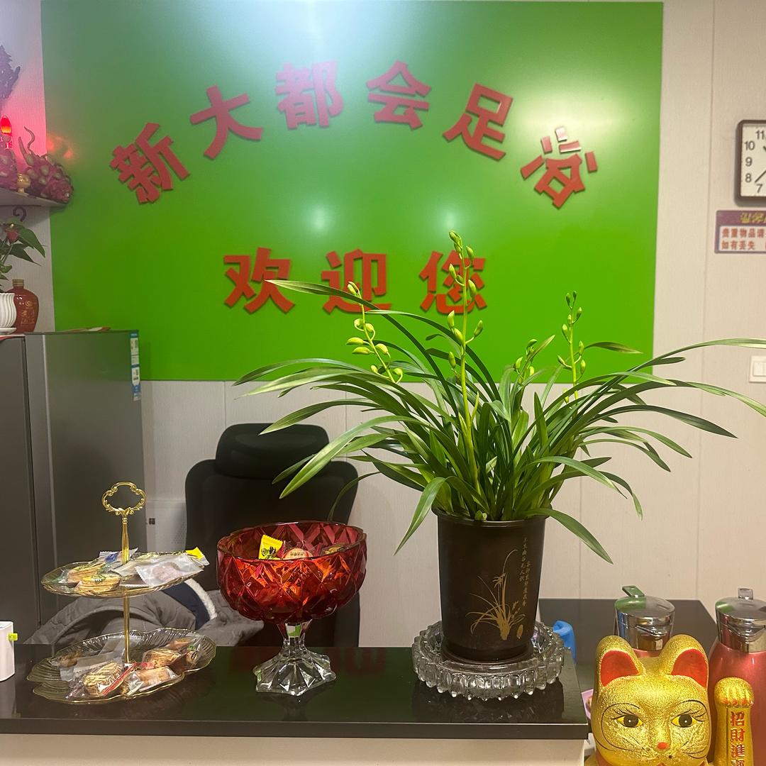 新大都会足浴