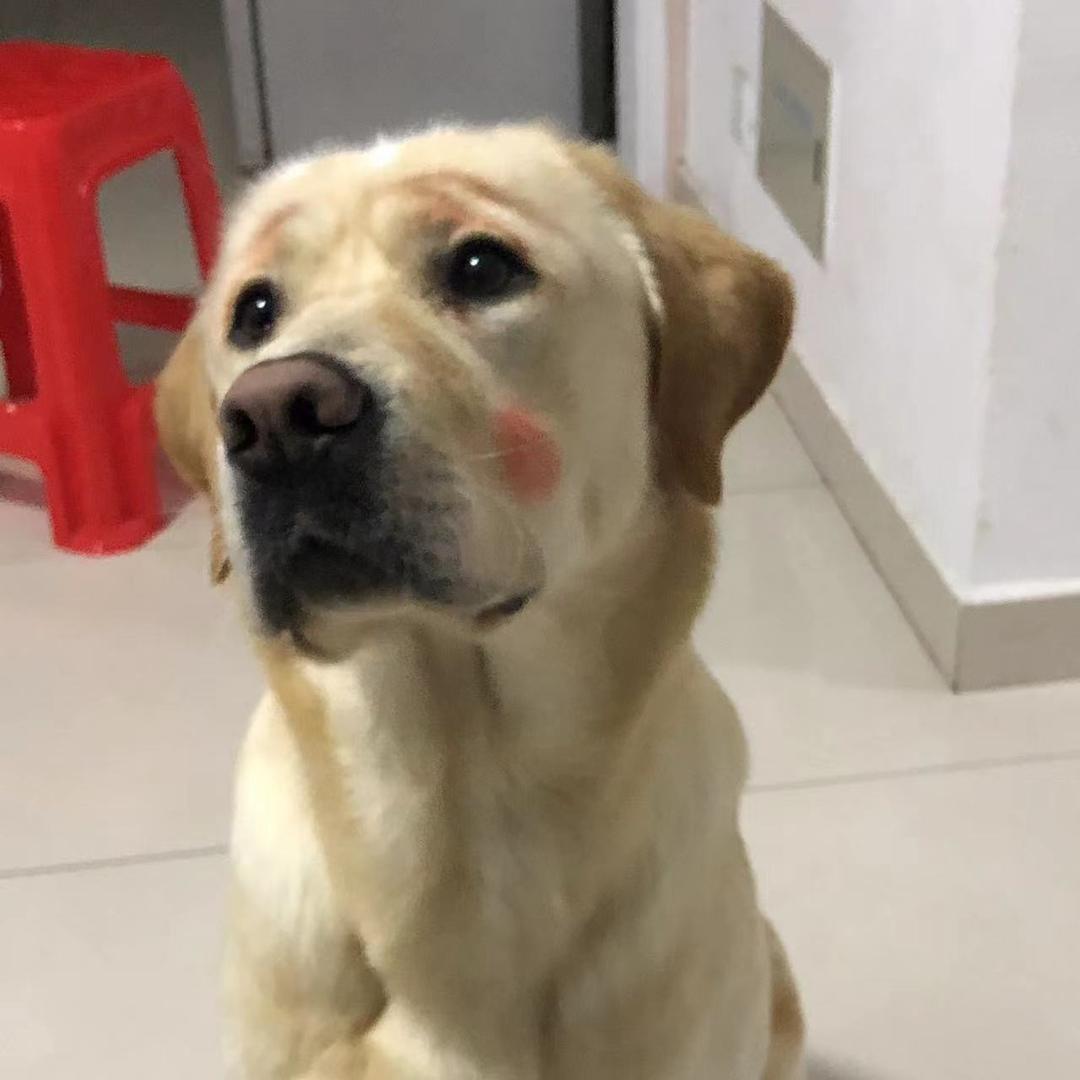 豆仔