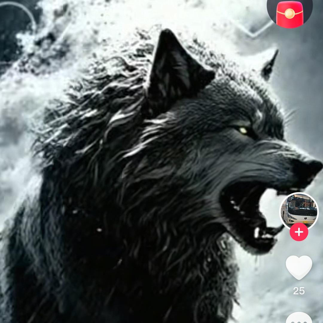 ꧁༺๑喵了个咪๑༻꧂