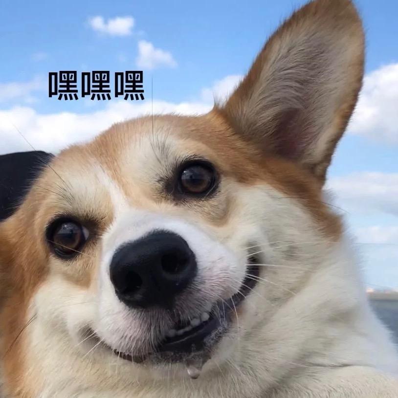 小黑_bUfu