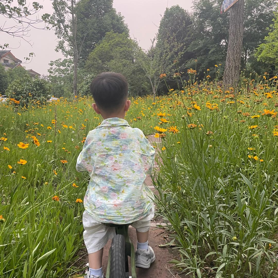 跑的飞快