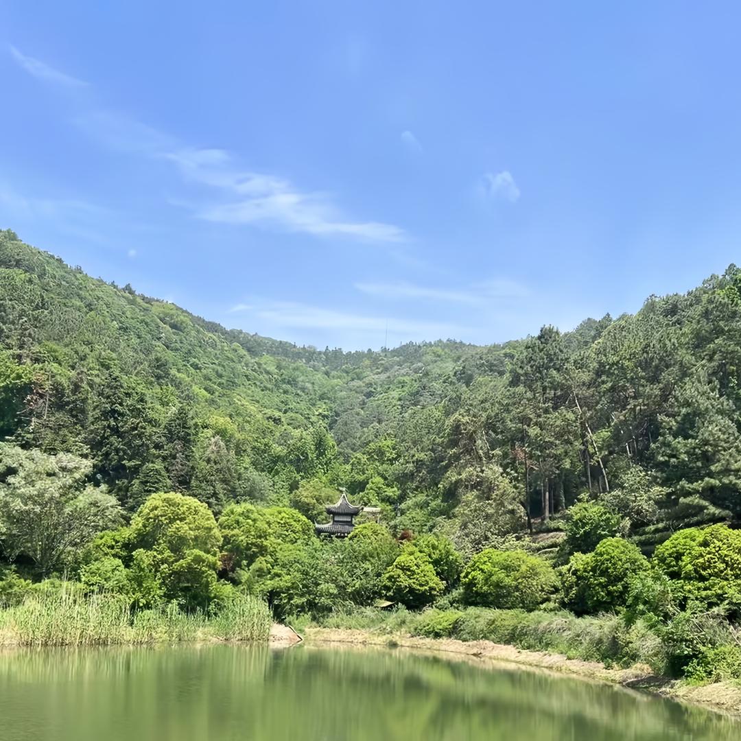 琦思富贸易商行