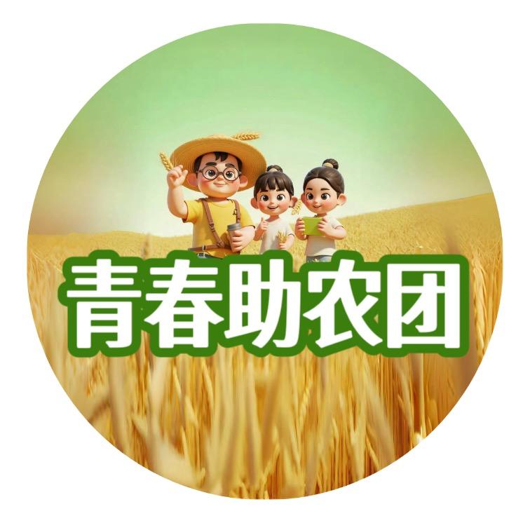 青春助农团