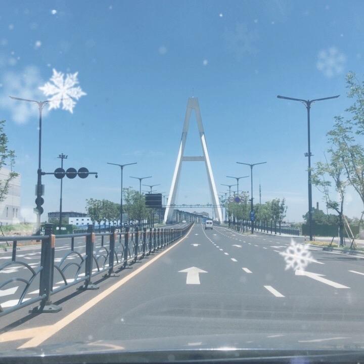 温一壶月光