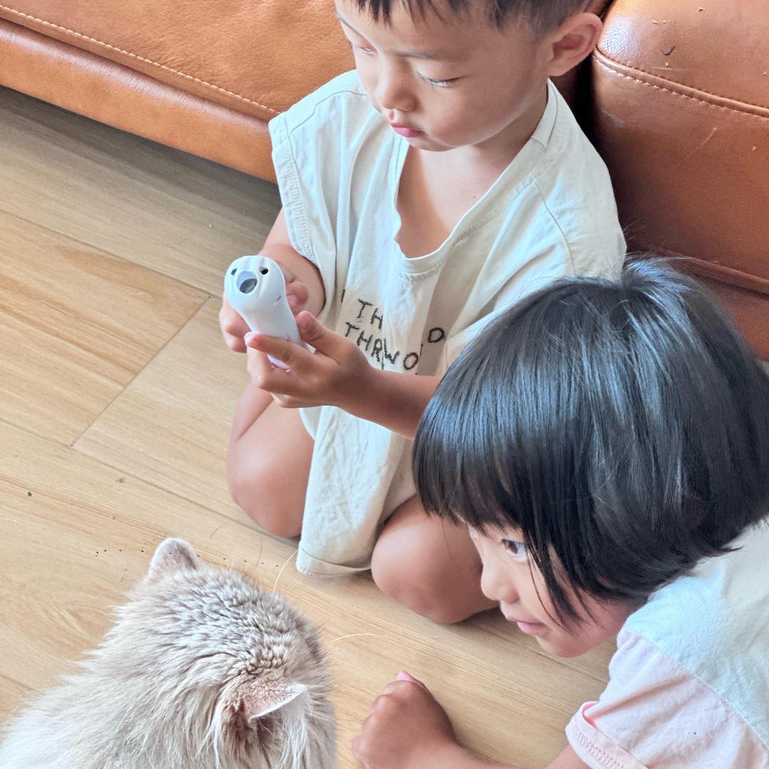杨或者