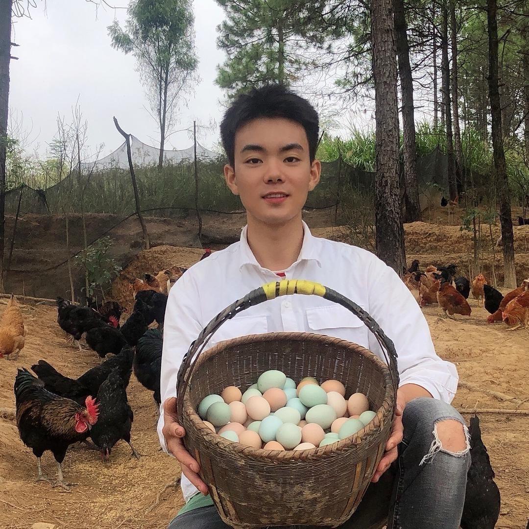 小曹家的鸡