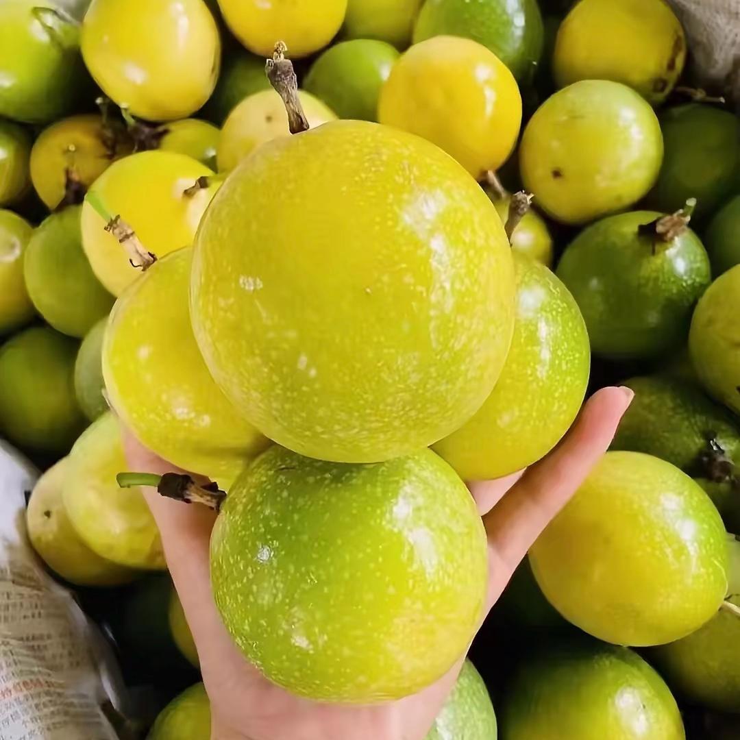 黄金百香果