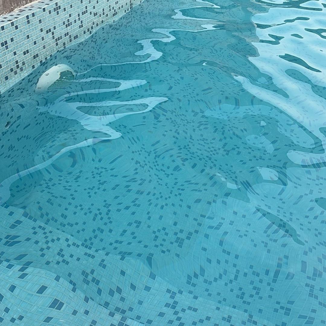 78822037232