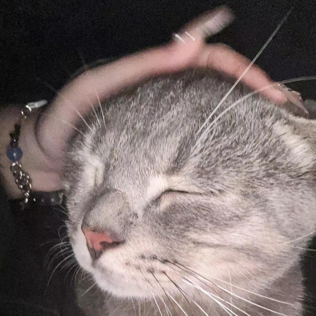 ₅₅₁.