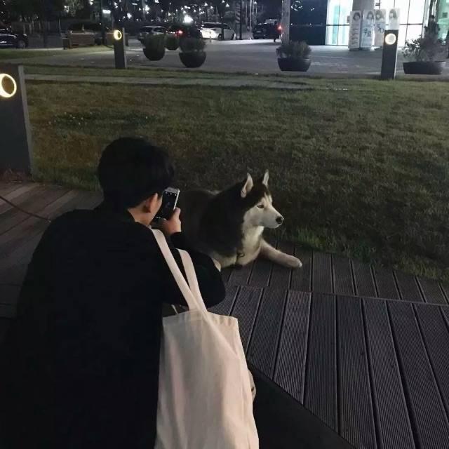 金木