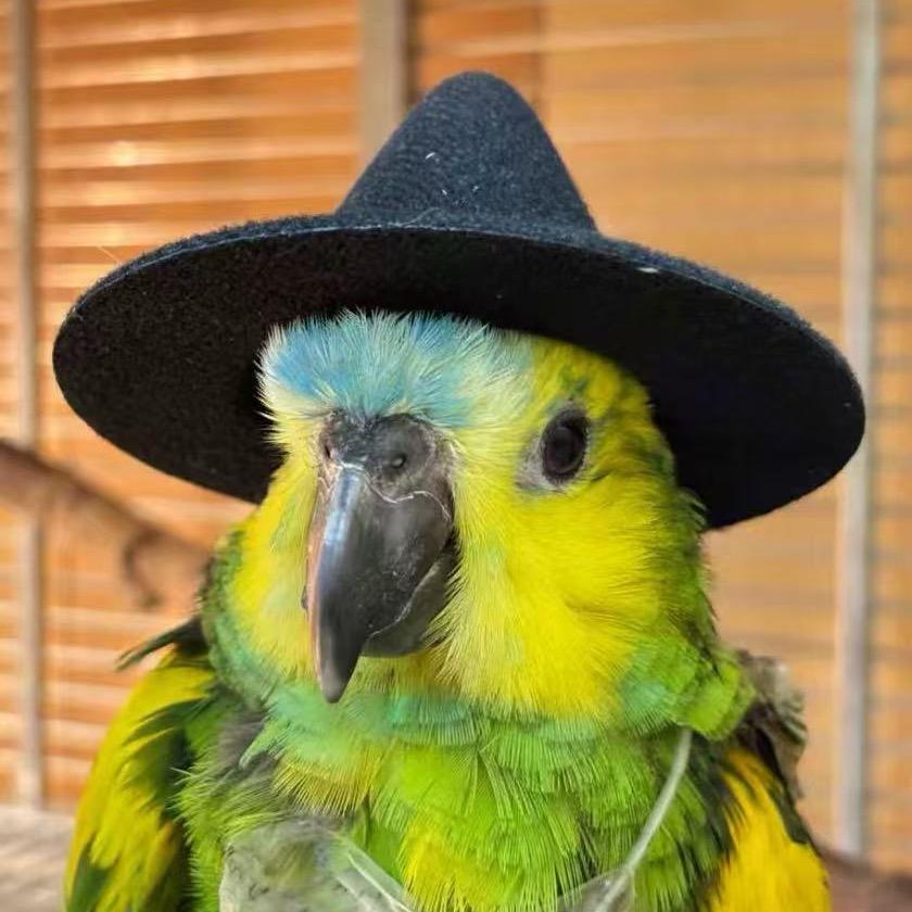 这夜派对就要散场🫧