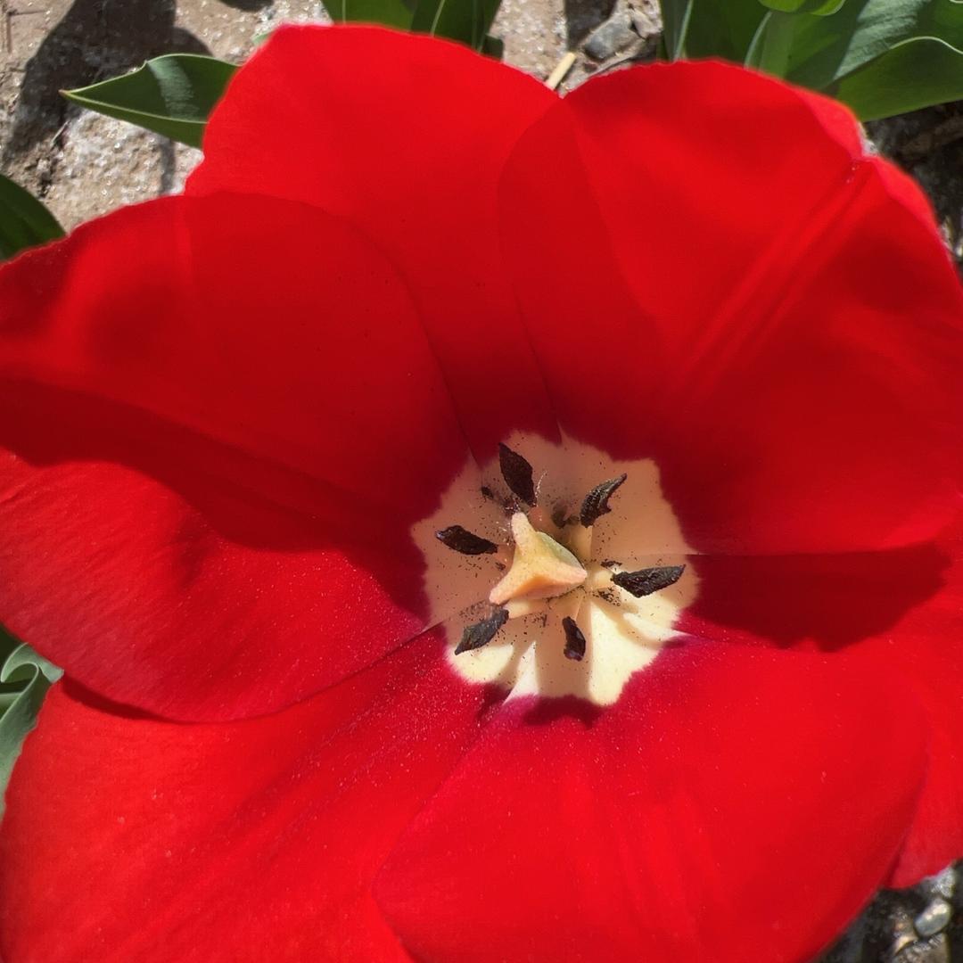 💗᭄余🕊ꦿ生随心ꦿ໊⁵²⁰