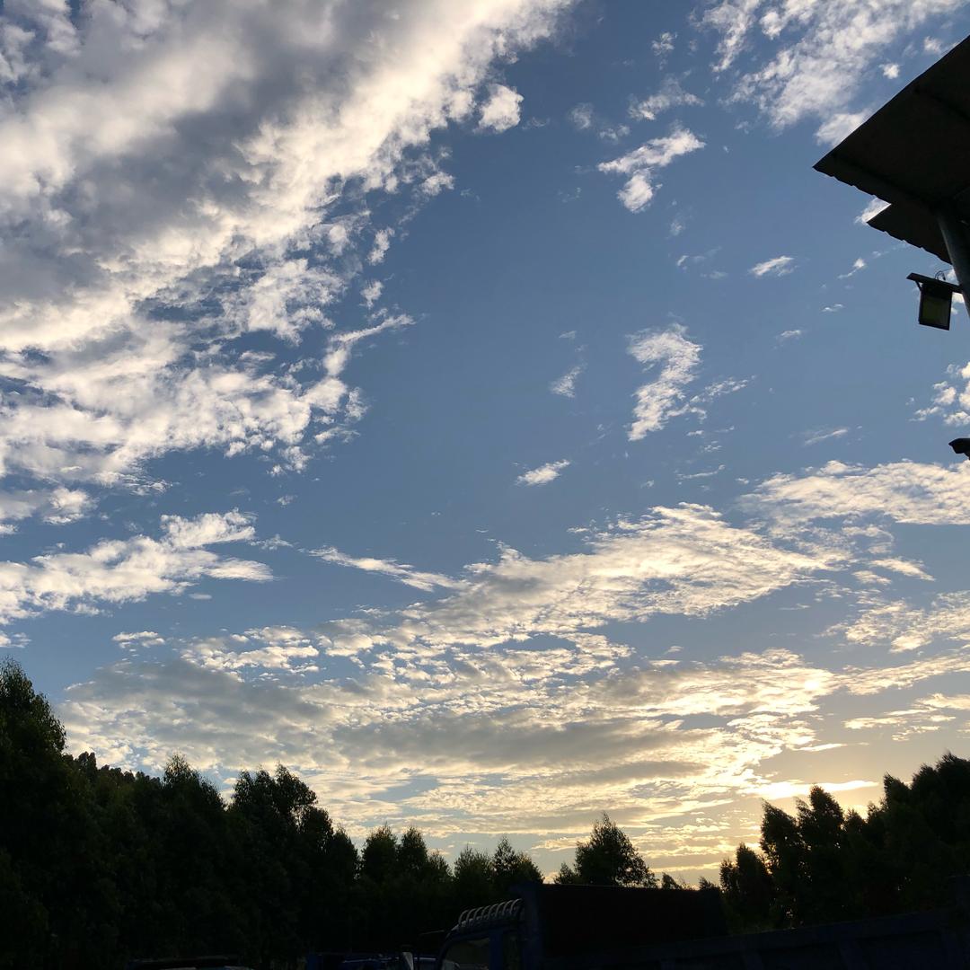 心跳的旋律ོ♪