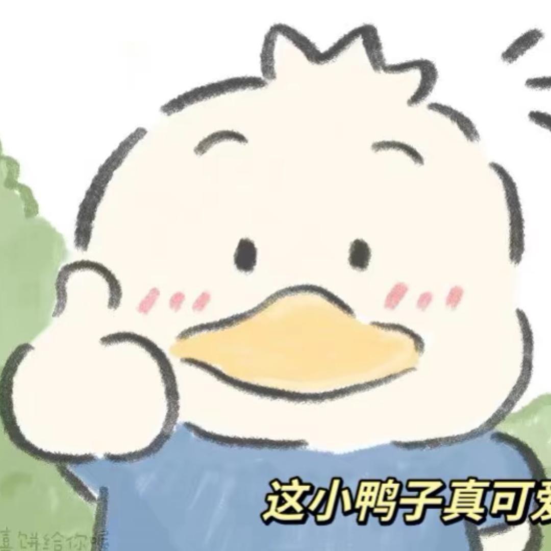 鸭只只