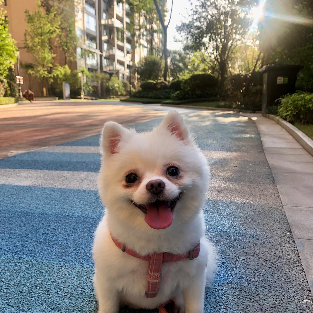心想事成。