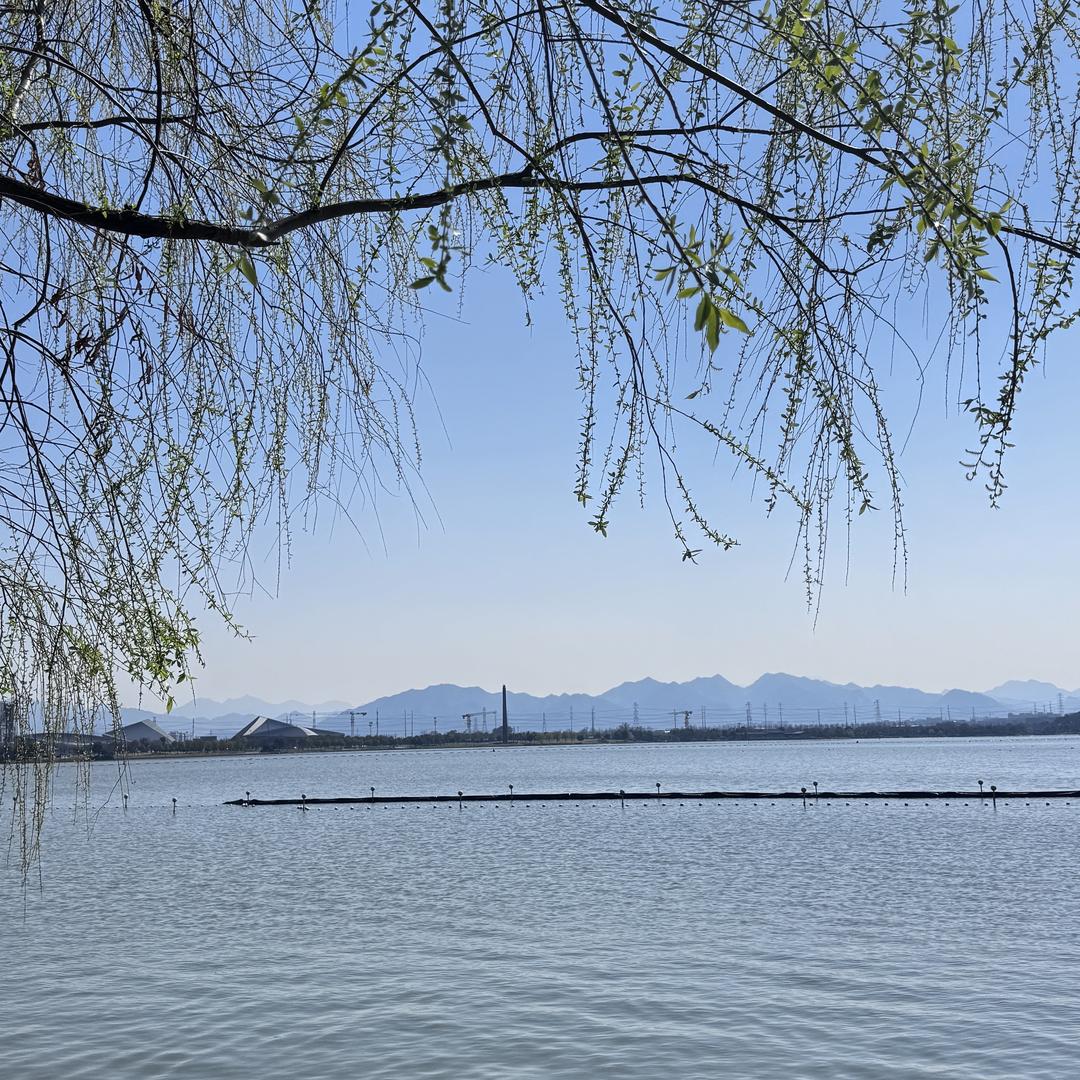 万遥学习号