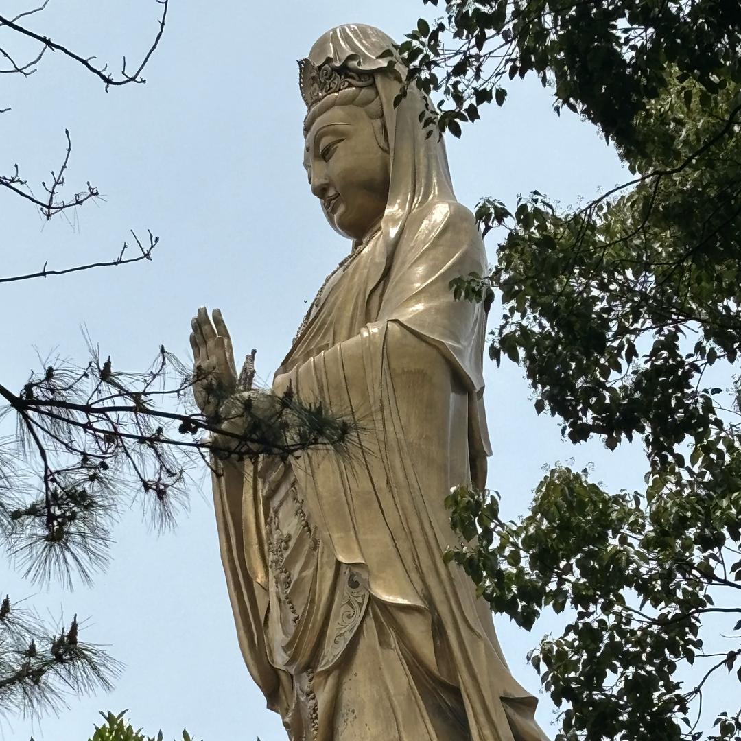 星辰大海