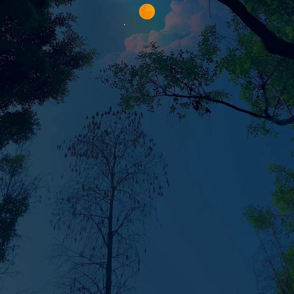 在哪里都是相遇丷