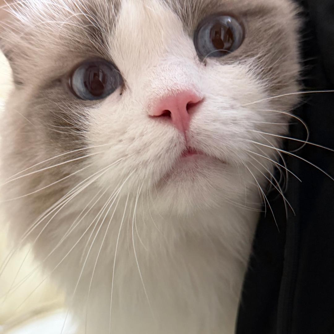 阿易（见过千玺版）