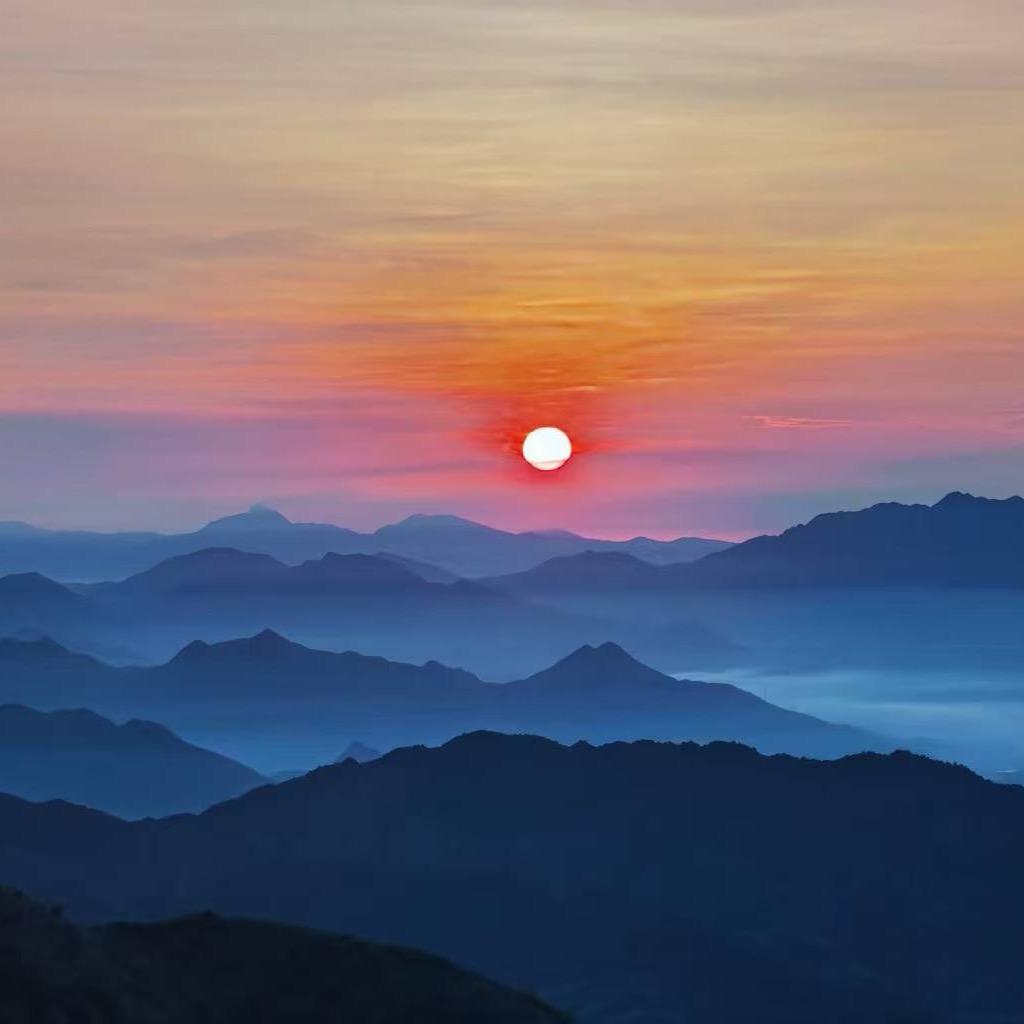 踏霧的霧