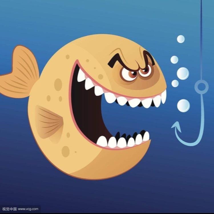 阿松户外（夜钓选手）