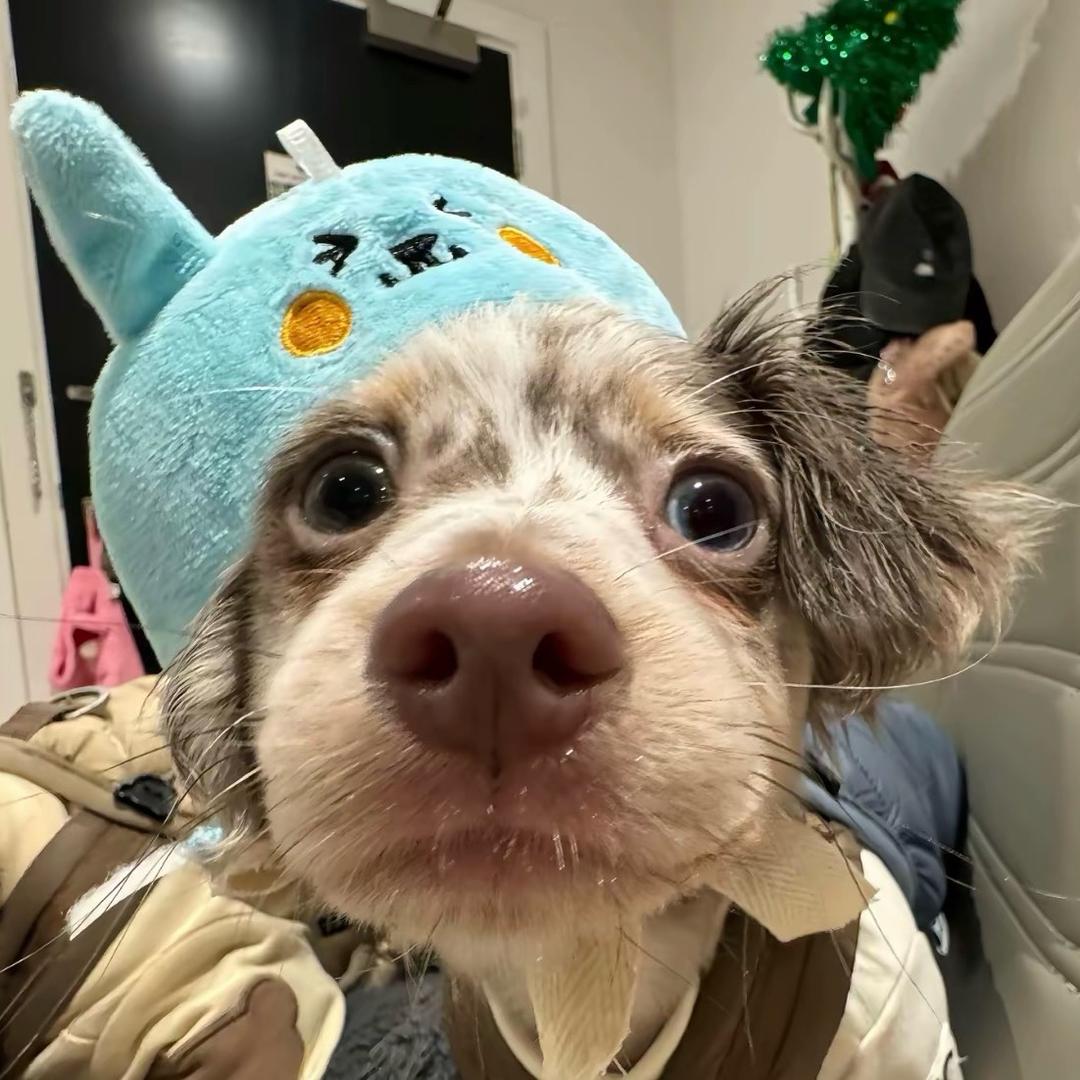 yisdr