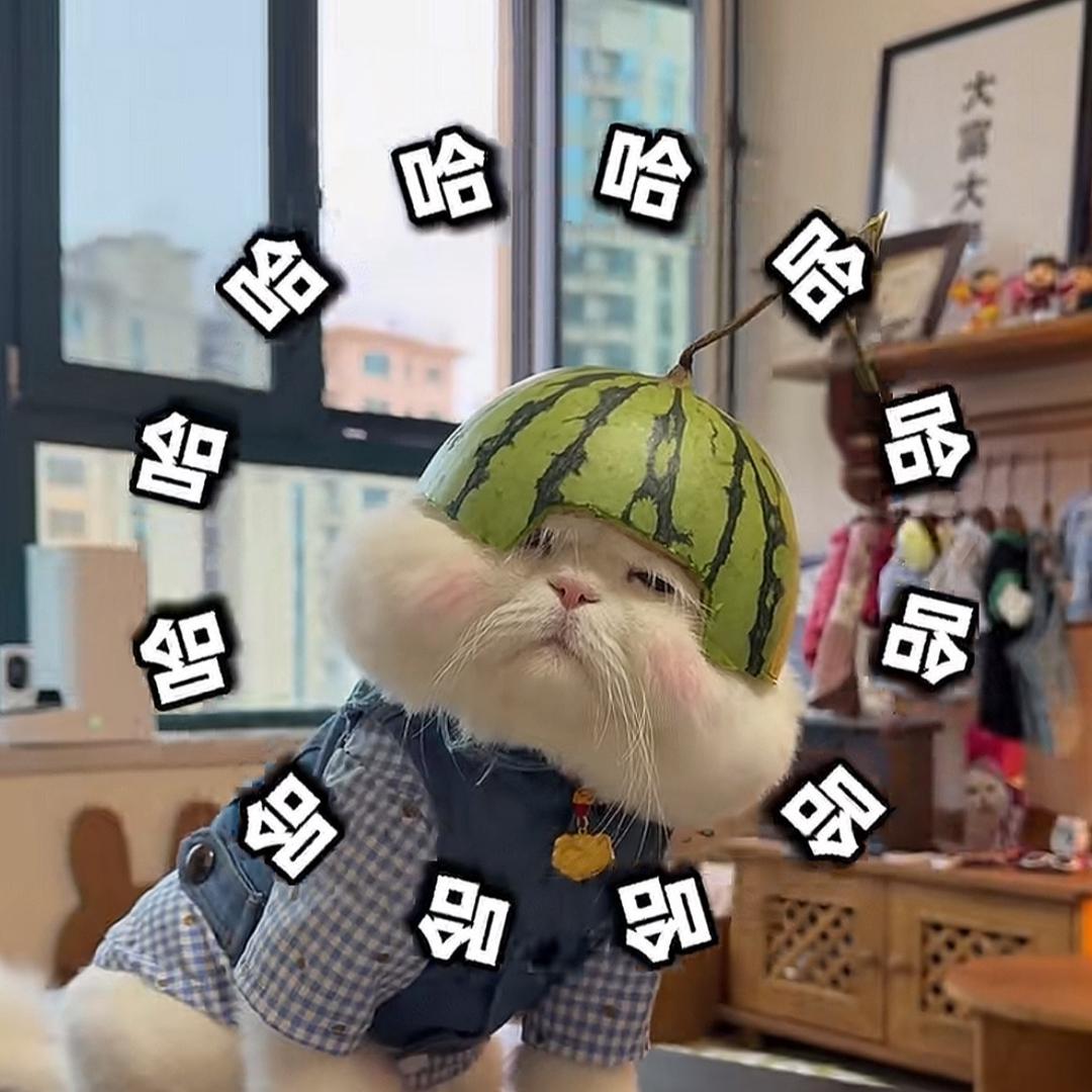 豆鲨包(๓´˘`๓)