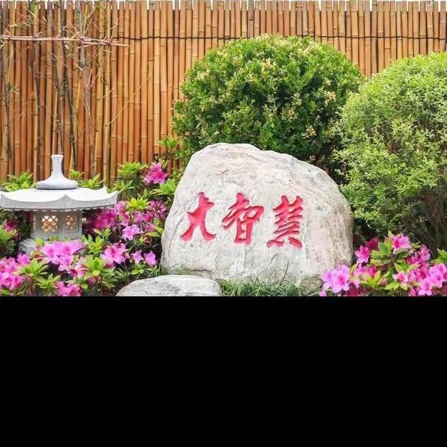 梦中人生
