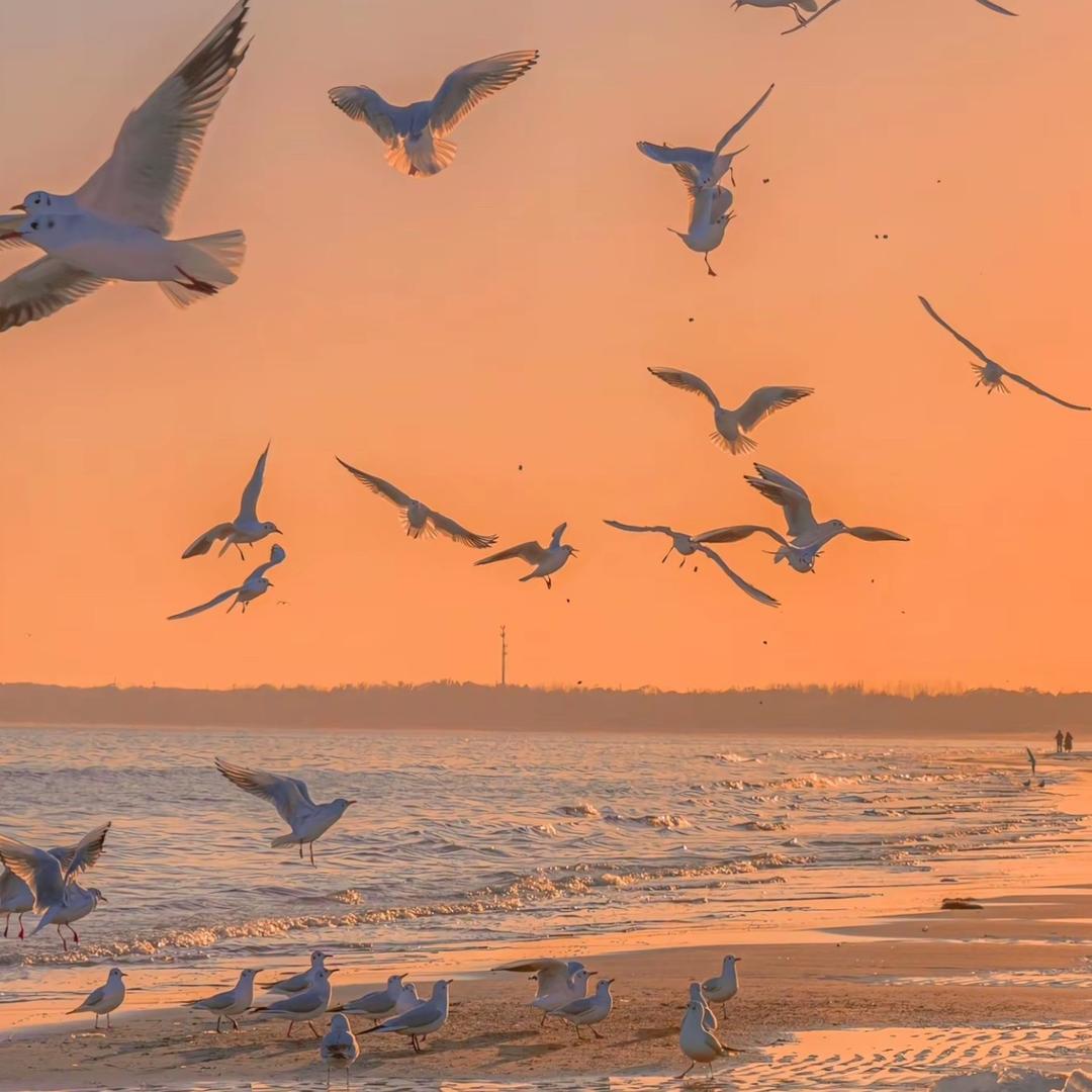 伴山精品优选好物