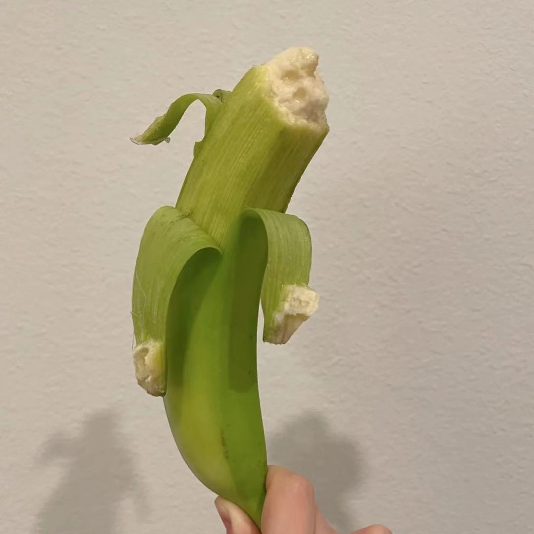 木牧