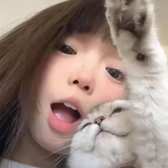 悲伤土豆片꒦ິ^꒦ິ