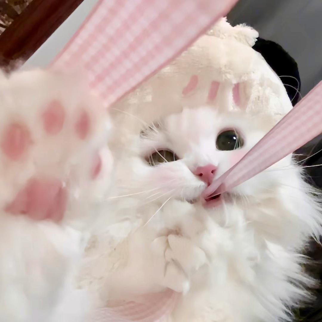 椰子比耶🎀
