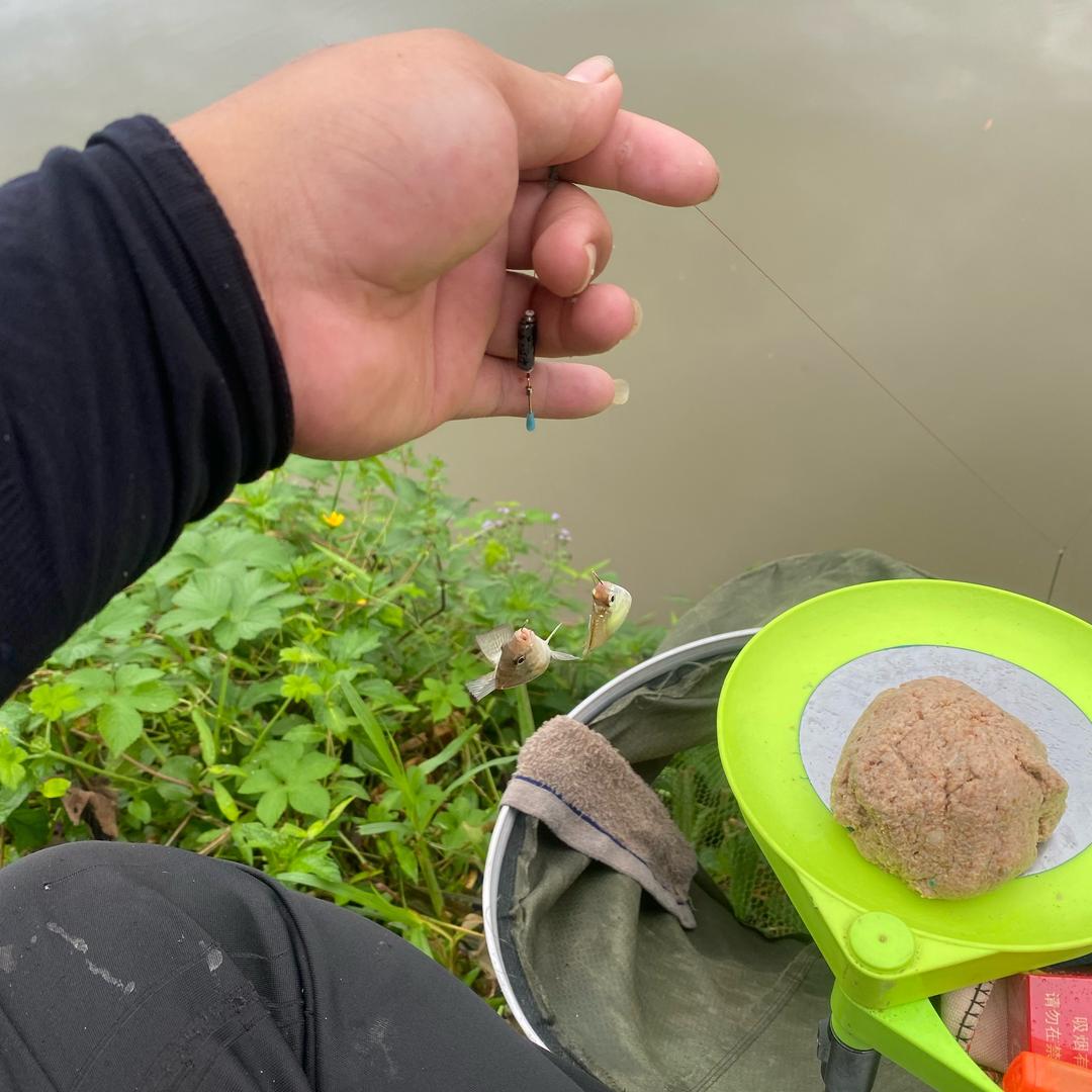 粤W【罗定】、小橙子🍊爱🎣