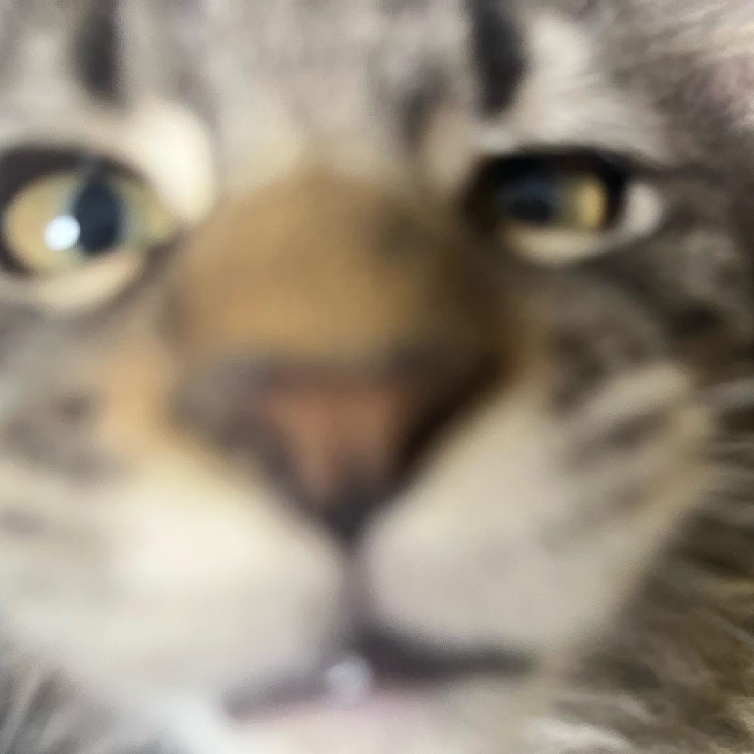 爱吃椰子蛋🥥^