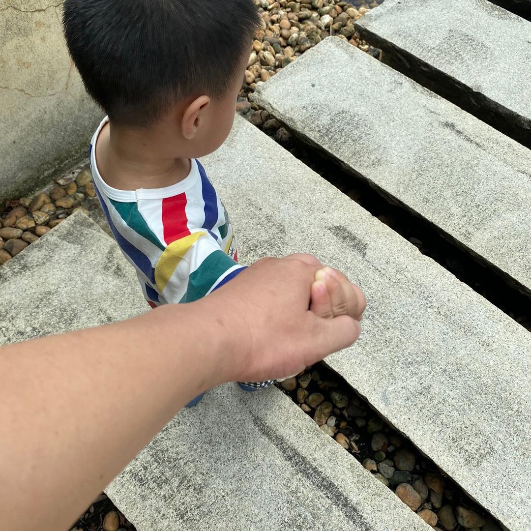 泺泺同学🐮🔍