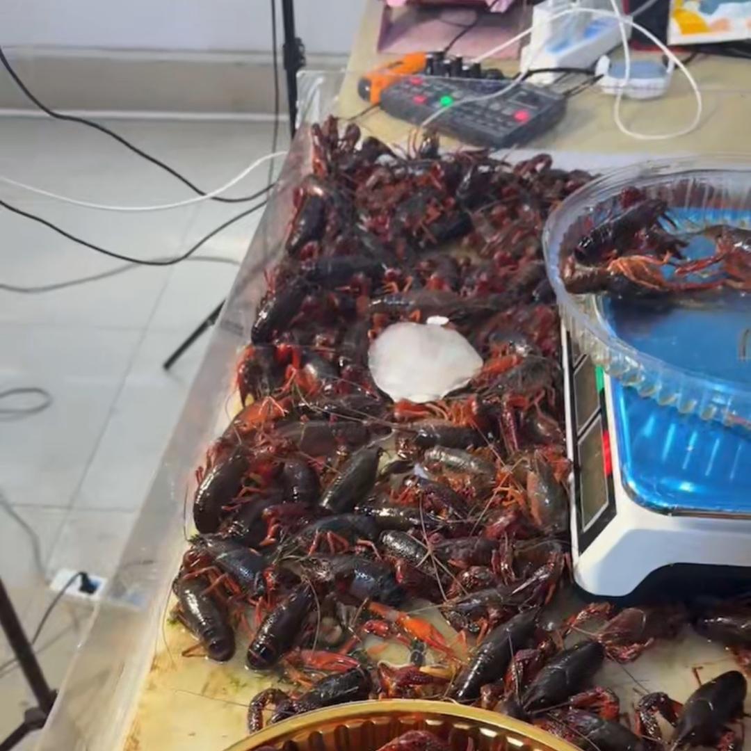 周记三文鱼生鲜小龙虾免配送