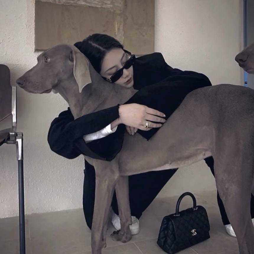 一嗰蓉🥀