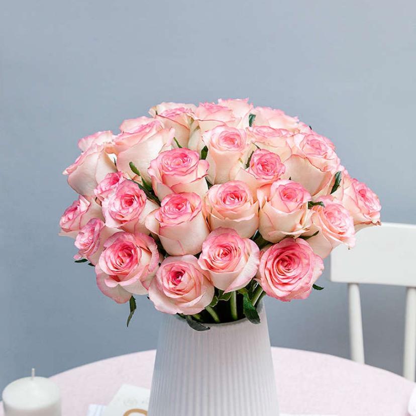 绿野仙踪（品质鲜花）